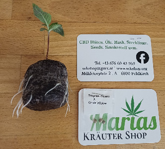 Marias Kraeuter Shop Banner 3